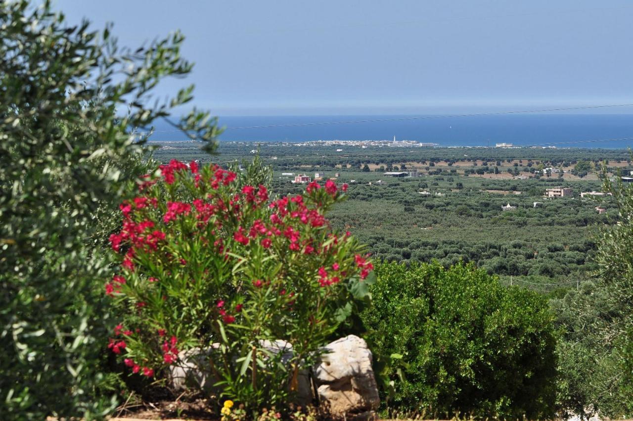 Agriturismo Masseria Spetterrata Cisternino Exteriör bild